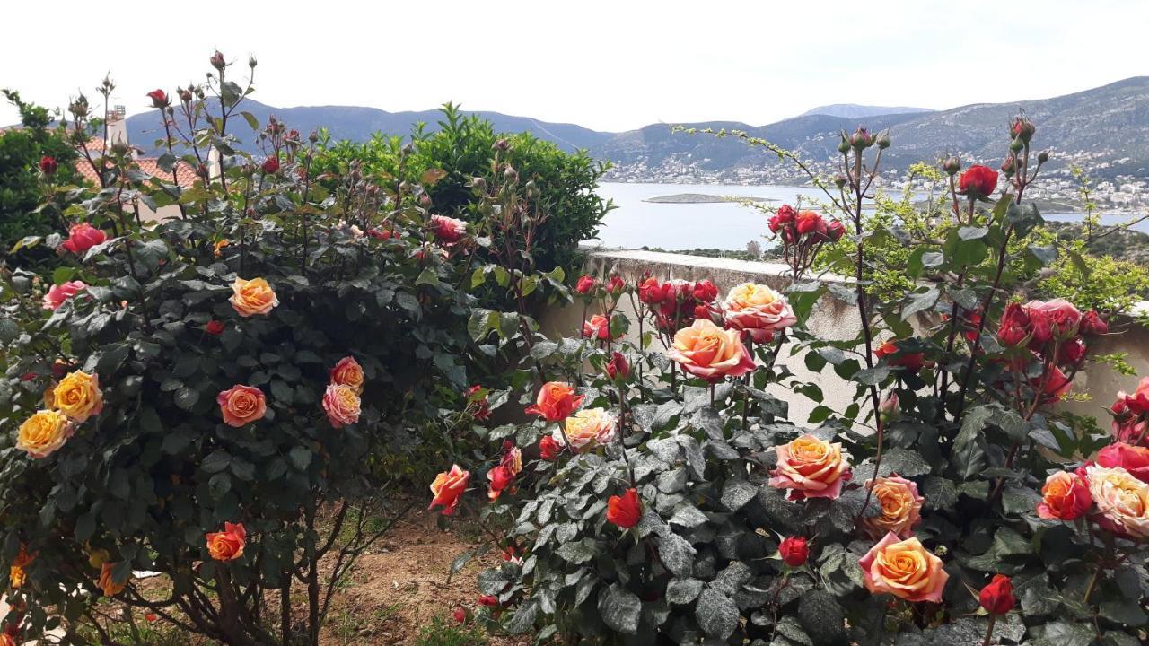 Georgia'S Holiday Apartment With Amazing Sea View Pórto Ráfti 外观 照片